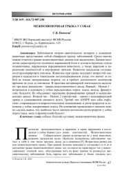 ПАННУС У НЕМЕЦКИХ ОВЧАРОК