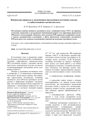 Физические процессы в маломощном индуктивном источнике плазмы в слабом внешнем магнитном поле