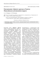 Гнездование чёрного дрозда в Ханты-Мансийском автономном округе