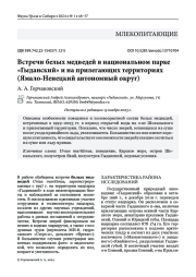 Встречи белых медведей в национальном парке «Гыданский» и на прилегающих территориях (Ямало-Ненецкий автономный округ)