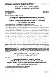 Сульфидная минерализация в орогенных эклогитах Северо-Муйского блока (северо-восточное Забайкалье): генезис и первые данные об изотопном составе серы