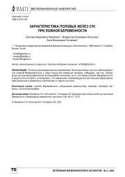 ХАРАКТЕРИСТИКА ПОЛОВЫХ ЖЕЛЕЗ СУК ПРИ ЛОЖНОЙ БЕРЕМЕННОСТИ