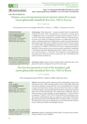 ПЕРВАЯ ДОКУМЕНТИРОВАННАЯ РЕГИСТРАЦИЯ ЧАЙКИ КУМЛИЕНАLARUS GLAUCOIDES KUMLIENI BREWSTER, 1883 В РОССИИ