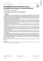Патоморфологические изменения в случае ингаляции гелия: случай из экспертной практики