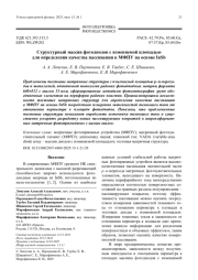Структурный массив фотодиодов с изменяемой площадью для определения качества пассивации в МФПУ на основе InSb
