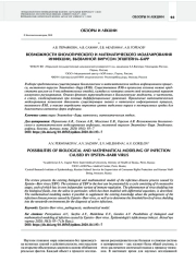 ВОЗМОЖНОСТИ БИОЛОГИЧЕСКОГО И МАТЕМАТИЧЕСКОГО МОДЕЛИРОВАНИЯ  ИНФЕКЦИИ, ВЫЗВАННОЙ ВИРУСОМ ЭПШТЕЙНА–БАРР