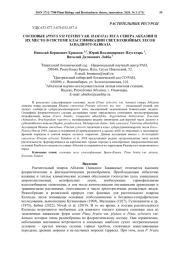 СОСНОВЫЕ (PINUSSYLVESTRIS VAR. HAMATA) ЛЕСА СЕВЕРА АБХАЗИИ И ИХ МЕСТО В СИСТЕМЕ КЛАССИФИКАЦИИ СВЕТЛОХВОЙНЫХ ЛЕСОВ ЗАПАДНОГО КАВКАЗА