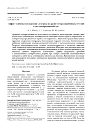 Эффект глубины погружения электрода на развитие предпробойных течений в дистиллированной воде