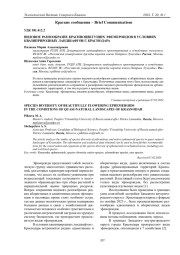 ВИДОВОЕ РАЗНООБРАЗИЕ КРАСИВОЦВЕТУЩИХ ЭФЕМЕРОИДОВ В УСЛОВИЯХ КВАЗИПРИРОДНЫХ ЛАНДШАФТОВ Г. КРАСНОДАРА