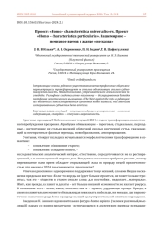 ПРОЕКТ: "HOMO - CHARACTERISTICA UNIVERSALIS" VS. ПРОЕКТ "HOMO - CHARACTERISTICA PARTICULARIS". НАШЕ МИРНОЕ - НЕМИРНОЕ ВРЕМЯ: В ЖАНРЕ "НЕСКАЗКА"