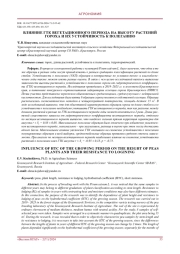 Влияние ГТК вегетационного периода на высоту растений гороха и их устойчивость к полеганию