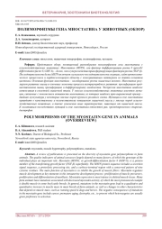 Полиморфизмы гена миостатина у животных (обзор)