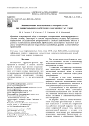 Возникновение локализованных микрообластей   при экстремальных воздействиях в марганцовистых сталях