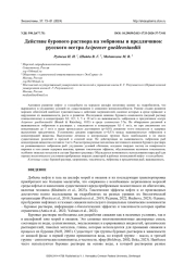 ДЕЙСТВИЕ БУРОВОГО РАСТВОРА НА ЭМБРИОНЫ И ПРЕДЛИЧИНОК РУССКОГО ОСЕТРА ACIPENSER GUELDENSTAEDTII