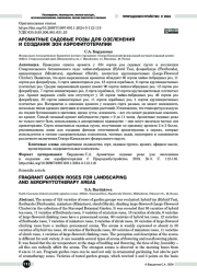 Ароматные садовые розы для озеленения и создания зон аэрофитотерапии