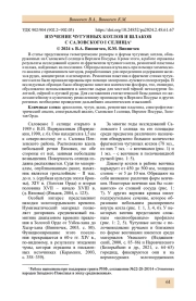 ИЗУЧЕНИЕ ЧУГУННЫХ КОТЛОВ И ШЛАКОВ С САЛОВСКОГО I СЕЛИЩА