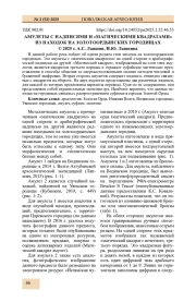 АМУЛЕТЫ С НАДПИСЯМИ И «МАГИЧЕСКИМИ КВАДРАТАМИ» ИЗ НАХОДОК НА ЗОЛОТООРДЫНСКИХ ГОРОДИЩАХ