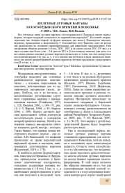 ЖЕЛЕЗНЫЕ ДУГОВЫЕ ВАРГАНЫ ЗОЛОТООРДЫНСКОГО ВРЕМЕНИ В ПОВОЛЖЬЕ