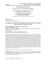 ПАТОМОРФОЛОГИЧЕСКИЙ АНАЛИЗ ТРАНСФОРМАЦИИ ЩИТОВИДНОЙ ЖЕЛЕЗЫ КОРОВ ШВИЦКОЙ ПОРОДЫ В УСЛОВИЯХ ЭНДЕМИИ