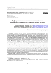 МОРФОФУНКЦИОНАЛЬНЫЕ ИЗМЕНЕНИЯ В ЩИТОВИДНОЙ ЖЕЛЕЗЕ ПОЛОВОЗРЕЛЫХ САМЦОВ КРЫС ПРИ ОТРАВЛЕНИИ УКСУСНОЙ КИСЛОТОЙ