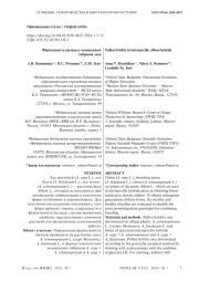 Фертильность пыльцы у межвидовых гибридов лука