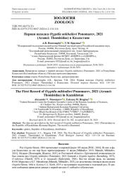Первая находка Ozyptila mikhailovi Ponomarev, 2021 (Aranei: Thomisidae) в Казахстане