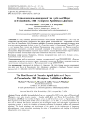 Первая находка олеандровой тли Aphis nerii Boyer de Fonscolombe, 1841 (Hemiptera: Aphididae) в Донбассе