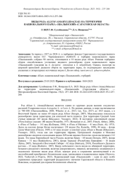ВИДЫ РОДА ALLIUM (AMARYLLIDACEAE) НА ТЕРРИТОРИИ НАЦИОНАЛЬНОГО ПАРКА «ХВАЛЫНСКИЙ» (САРАТОВСКАЯ ОБЛАСТЬ)