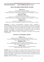 ВИЗУАЛИЗАЦИЯ ПОЗВОНОЧНОЙ АРТЕРИИ