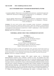 ВСЕСТОРОННИЙ ОБЗОР СТРОЕНИЯ ПОЗВОНОЧНОЙ АРТЕРИИ