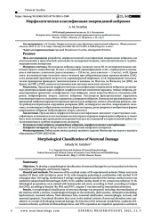 Морфологическая классификация повреждений нейронов