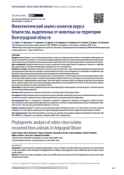 Филогенетический анализ изолятов вируса бешенства, выделенных от животных на территории Волгоградской области