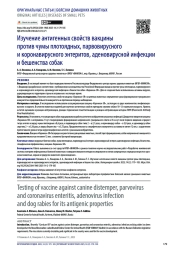Изучение антигенных свойств вакцины против чумы плотоядных, парвовирусного и коронавирусного энтеритов, аденовирусной инфекции и бешенства собак