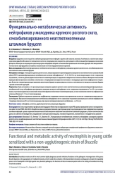 Функционально-метаболическая активность нейтрофилов у молодняка крупного рогатого скота, сенсибилизированного неагглютиногенным штаммом бруцелл