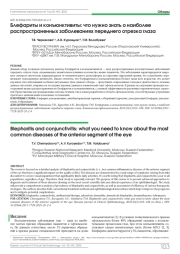 Блефариты и конъюнктивиты: что нужно знать о наиболее распространенных заболеваниях переднего отрезка глаза