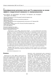 Полусферическая рутиловая линза для ТГц микроскопии на основе эффекта твердотельной иммерсии со cверхразрешением