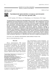 Трансформация криволинейных зон при их термомиграции  через пластину кремния {100}