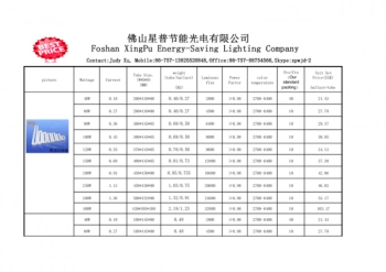 Saving Lighting Company
