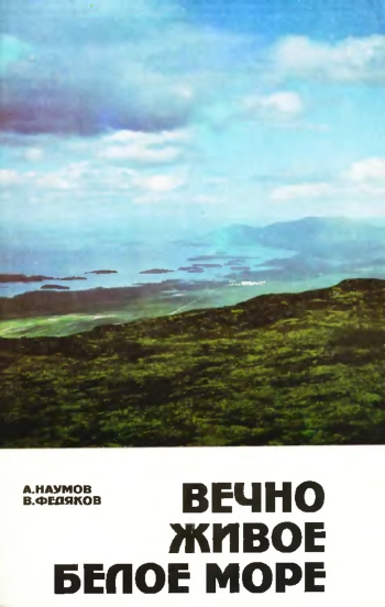 Вечно живое Белое море