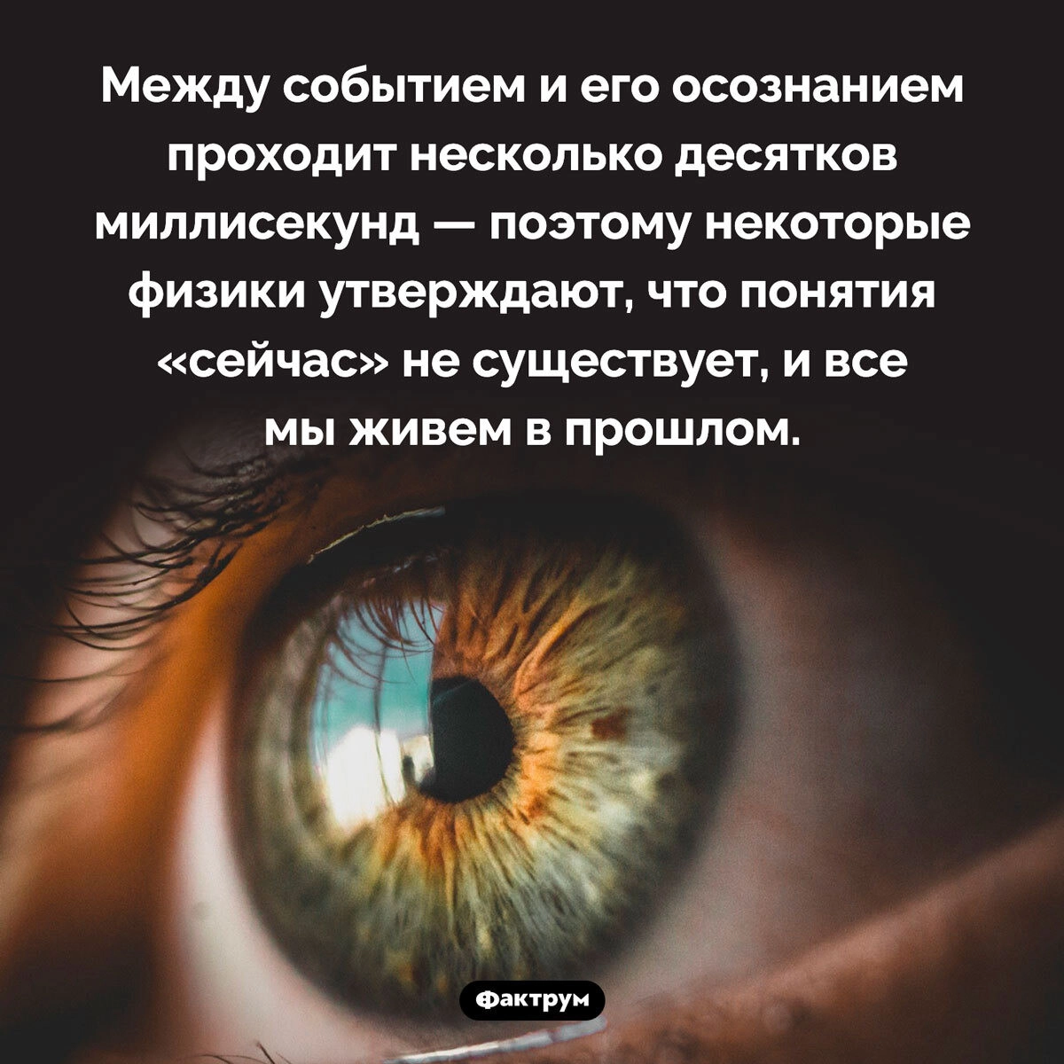 Интересный факт!